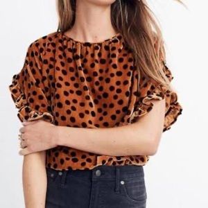 Madewell Brown Top Short Sleeve Stretch Velvet Dot Print S #K2790